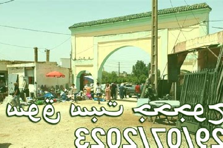 Kinsley, 23 — Escort in Sebt Jahjouh, Morocco