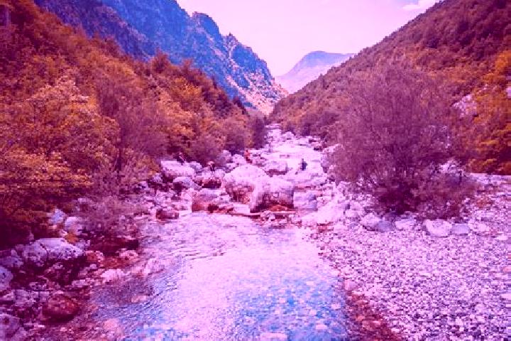 Kinsley, 23 — Escort in Valbone, Albania