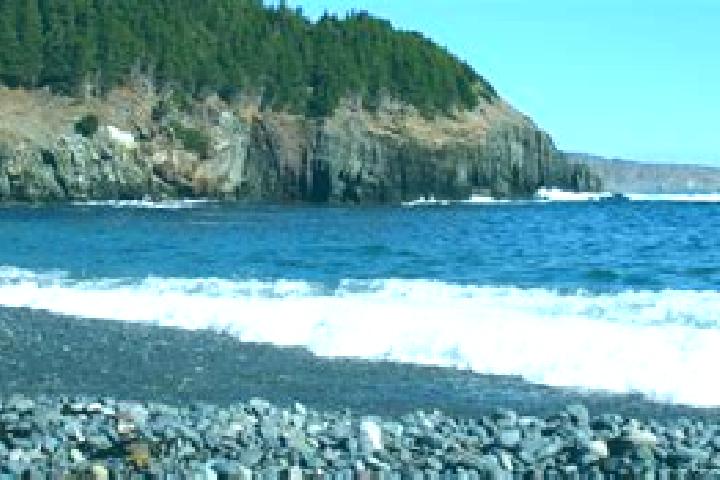 Kinsley, 24, a brunette hazel-eyed asian companion based in Logy Bay-Middle Cove-Outer Cove. Offering CIM, Striptease, GFE, Dinner Date. Available for incall...