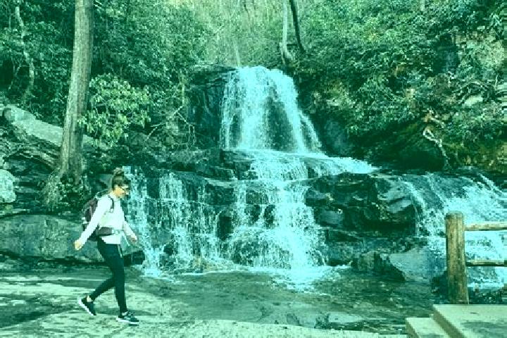 Kinsley, 24 — Escort in Laurel Park, United States
