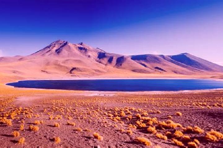 Kinsley, 24 — Escort in San Pedro de Atacama, Chile