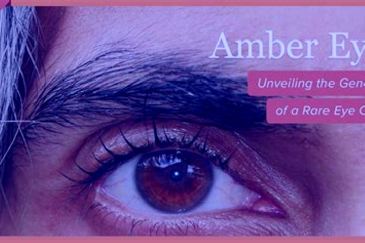 Kinsley, 25, a red amber-eyed mixed companion based in Greenfield. Offering Duos, Dinner Date, Erotic Massage, A-Level. Available for incall and outcall, ove...