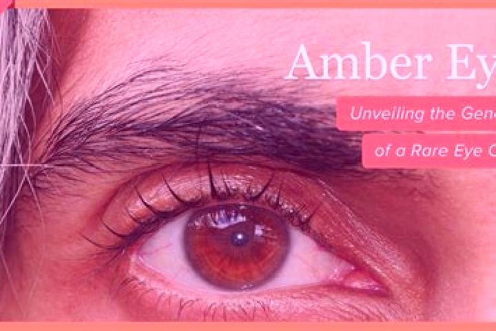 Kinsley, 25, a red amber-eyed slavic companion based in Nefoneut. Offering OWO, Duos, Striptease. Available for incall and outcall, day and evening dates.