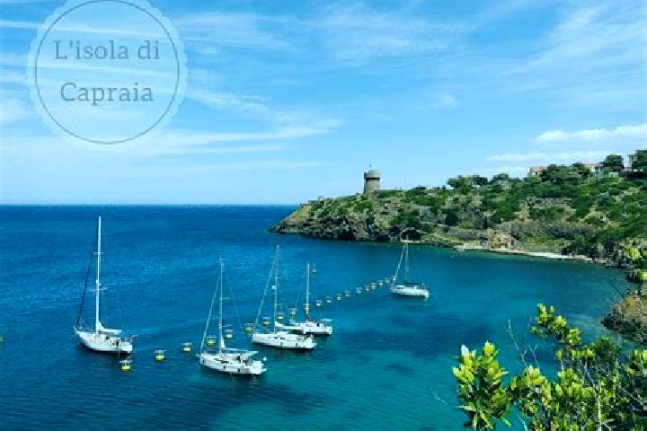 Kinsley, 25 — Escort in Capraia Isola, Italy