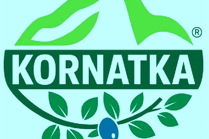 Kinsley, 25 — Escort in Kornatka, Poland