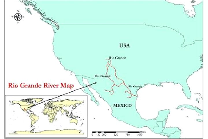 Kinsley, 25 — Escort in Llano Grande, United States