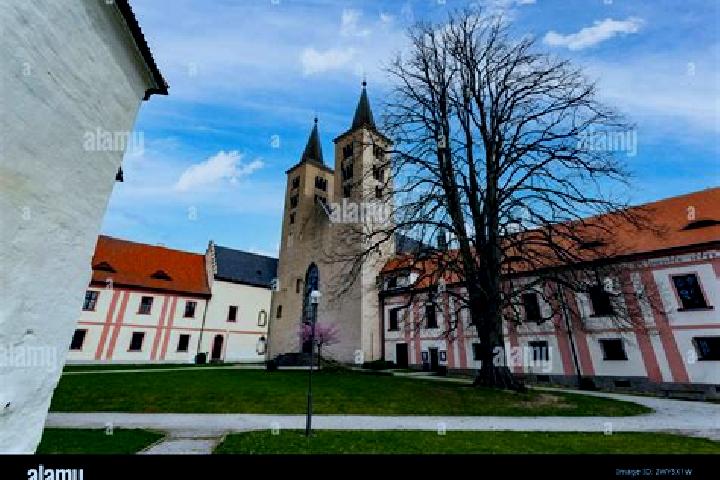 Kinsley, 25 — Escort in Milevsko, Czech Republic