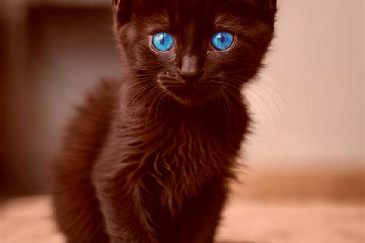 Kinsley, 26, a black blue-eyed mediterranean companion based in Buinen. Offering Striptease, Fetish, BDSM. Available for incall and outcall, overnight bookin...
