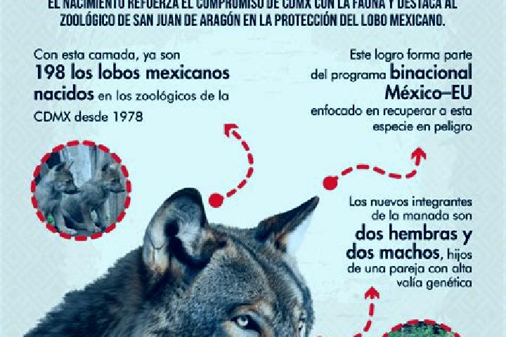 Kinsley, 26 — Escort in El Lobo, Mexico