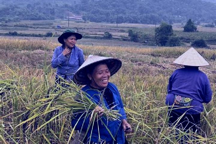 Kinsley, 26 — Escort in Nghia Lo, Vietnam