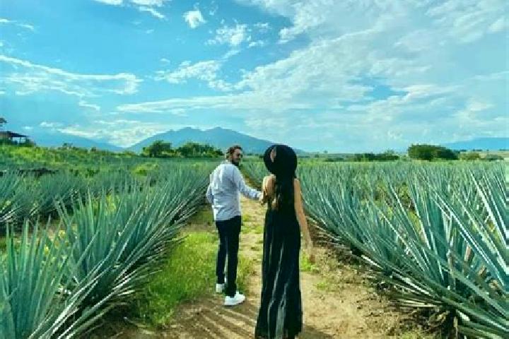Kinsley, 26 — Escort in Panuaya, Mexico