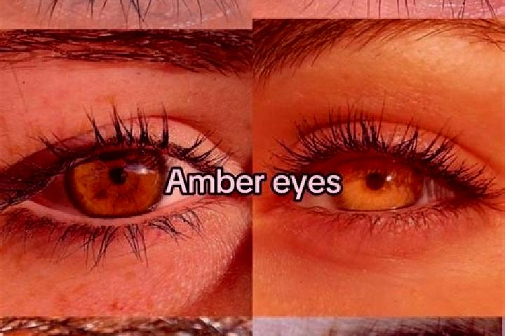 Kinsley, 27, a chestnut amber-eyed caribbean companion based in Tabarz. Offering Striptease, Prostate Massage, Party Girl. Available for incall and outcall, ...