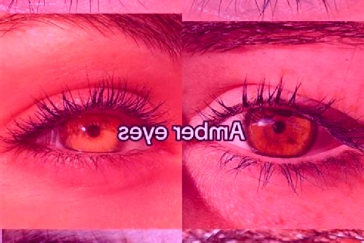 Kinsley, 27, a chestnut amber-eyed mixed companion based in Hoz de Jaca. Offering GFE, A-Level, BDSM, Massage. Available for incall and outcall, overnight bo...