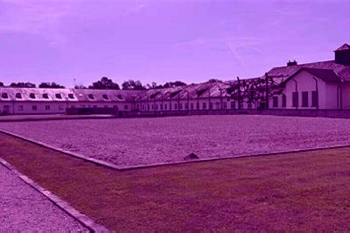 Kinsley, 27 — Escort in Dachau, Germany