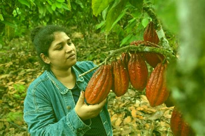 Kinsley, 27 — Escort in Francisco J. Santamaria (Cacao), Mexico