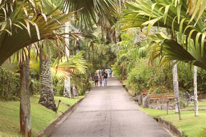 Kinsley, 27 — Escort in Mont Fleuri, Seychelles
