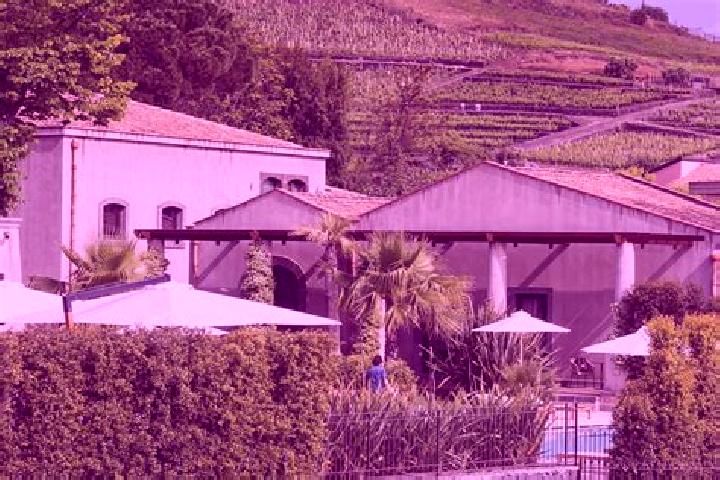 Kinsley, 27 — Escort in San Procopio, Italy