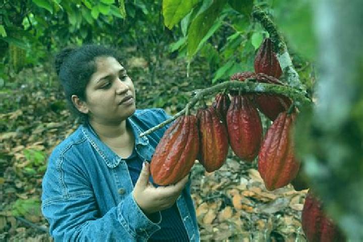 Kinsley, 28 — Escort in Cacao, Mexico
