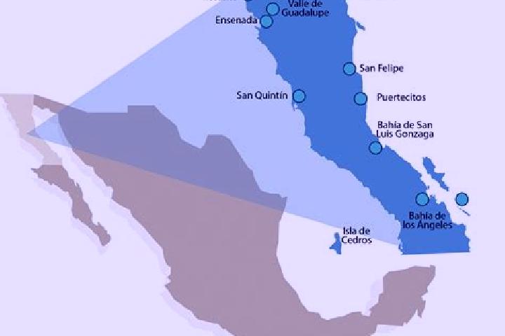 Kinsley, 28 — Escort in Colonia Felipe Angeles, Mexico