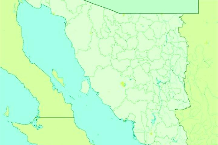 Kinsley, 28 — Escort in Etchohuaquila, Mexico