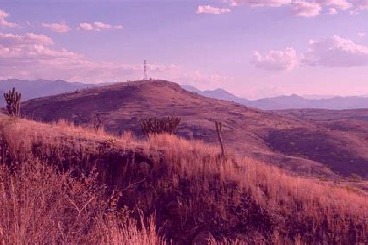 Kinsley, 28 — Escort in San Juan Yucuita, Mexico