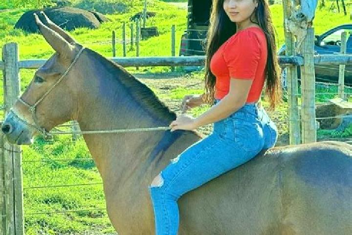 Kinsley, 28 — Escort in Sao Joao do Manteninha, Brazil