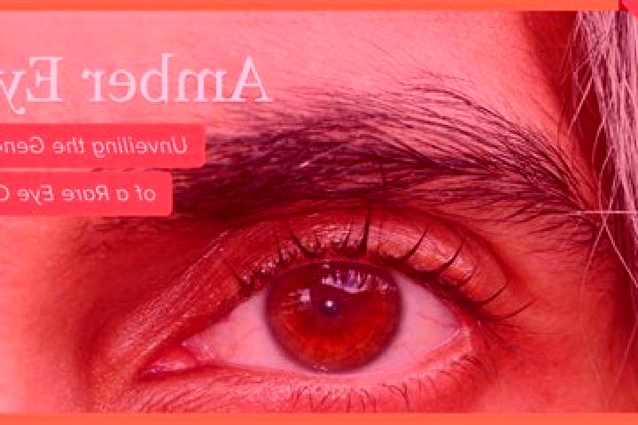 Kinsley, 29, a red amber-eyed slavic companion based in Cofradia de San Jose. Offering Roleplay, Prostate Massage, GFE, OWO. Available for incall and outcall...