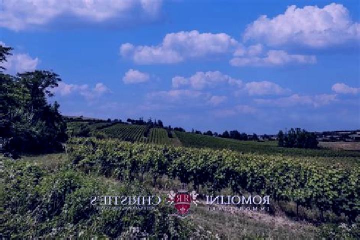 Kinsley, 29 — Escort in Camporeale, Italy