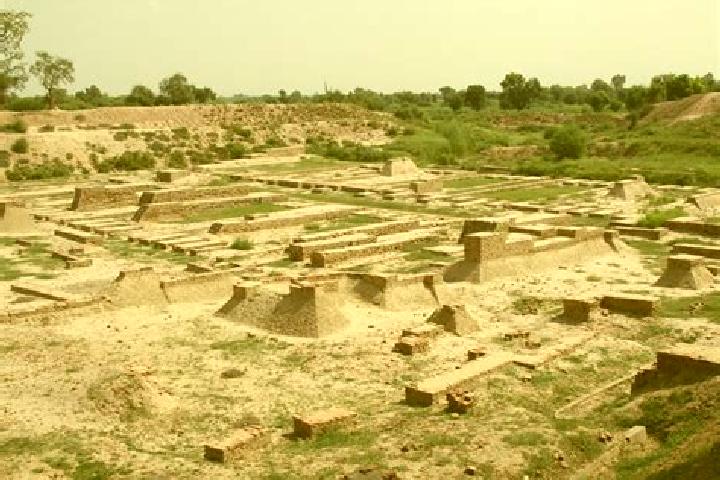 Kinsley, 29 — Escort in Harappa, Pakistan