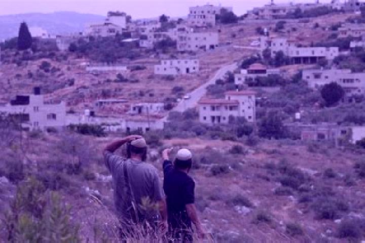 Kinsley, 29 — Escort in Kokhav HaShahar, Israel