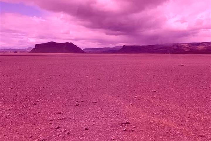 Kinsley, 29 — Escort in THorlakshoefn, Iceland