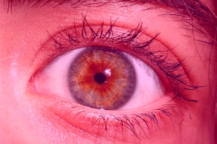 Kinsley, 30, a red hazel-eyed mediterranean companion based in Huermeces del Cerro. Offering Tantra, Deep French Kissing, Striptease, GFE. Available for inca...