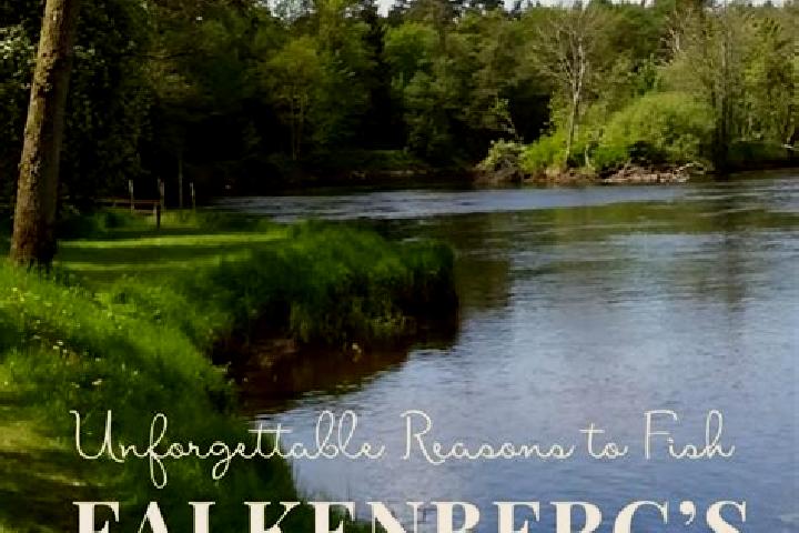 Kinsley, 30 — Escort in Falkenberg, Sweden