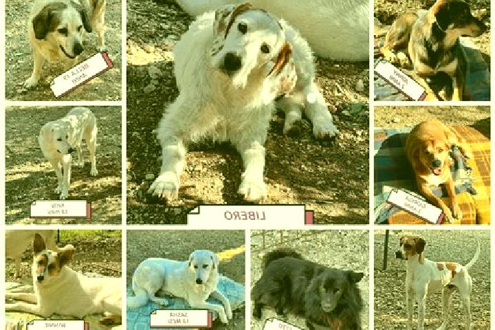 Kinsley, 30 — Escort in Lomo de Arico, Spain