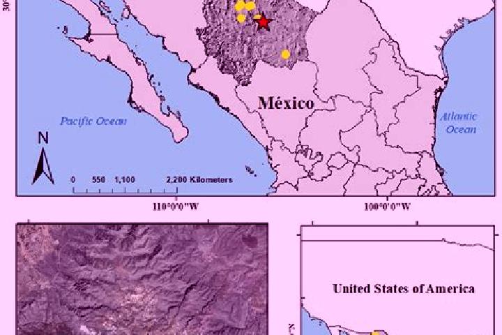 Kinsley, 30 — Escort in Matlahuacales Aquiles Serdan, Mexico