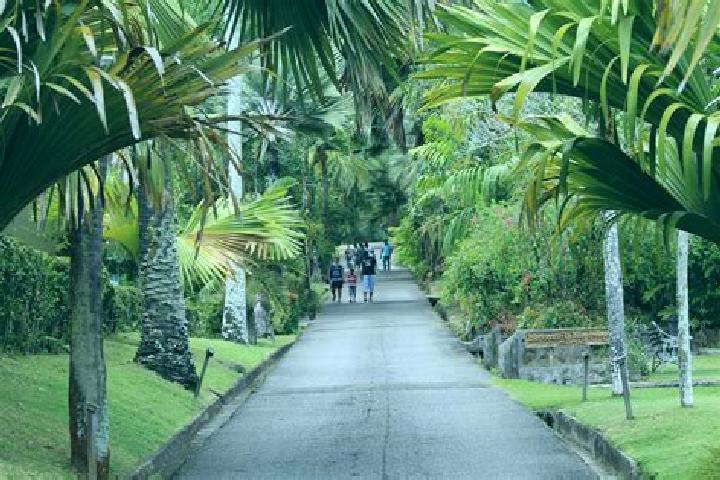 Kinsley, 30 — Escort in Mont Fleuri, Seychelles