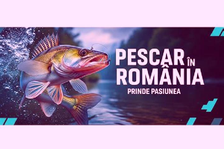 Kinsley, 30 — Escort in Stolniceni-Prajescu, Romania