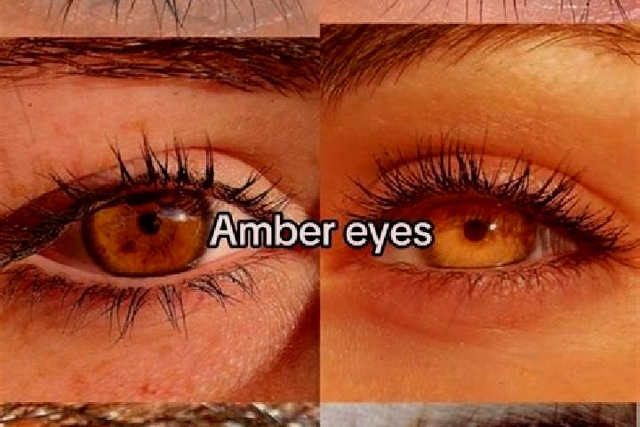 Kinsley, 31, a brunette amber-eyed caucasian companion based in Grossweikersdorf. Offering Dinner Date, BDSM, A-Level, OWO, Roleplay. Available for incall an...