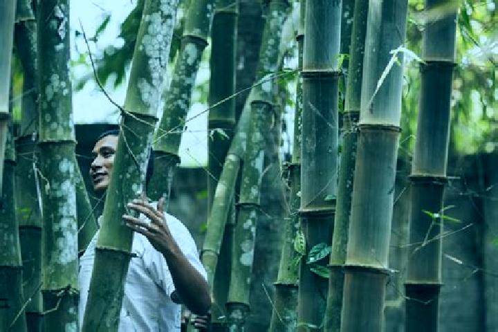 Kinsley, 31 — Escort in Bamboo Flat, India