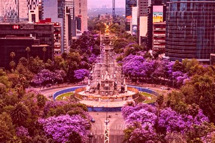 Kinsley, 31 — Escort in Reforma, Mexico