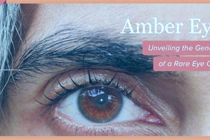 Kinsley, 32, a red amber-eyed mixed companion based in Linshan. Offering CIM, Fetish, OWO, A-Level. Available for incall and outcall, overnight bookings avai...