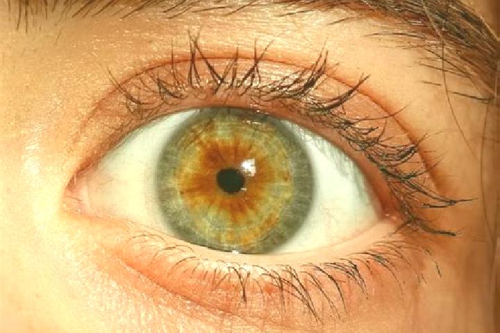 Kinsley, 32, a red hazel-eyed middle eastern companion based in Las Negritas. Offering OWO, Overnight. Available for incall and outcall, day and evening dates.