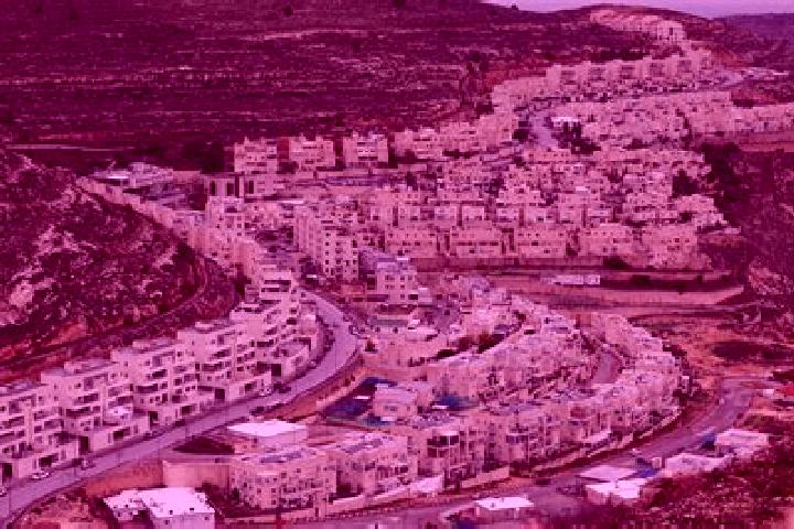 Kinsley, 32 — Escort in Givat Zeev, Palestine