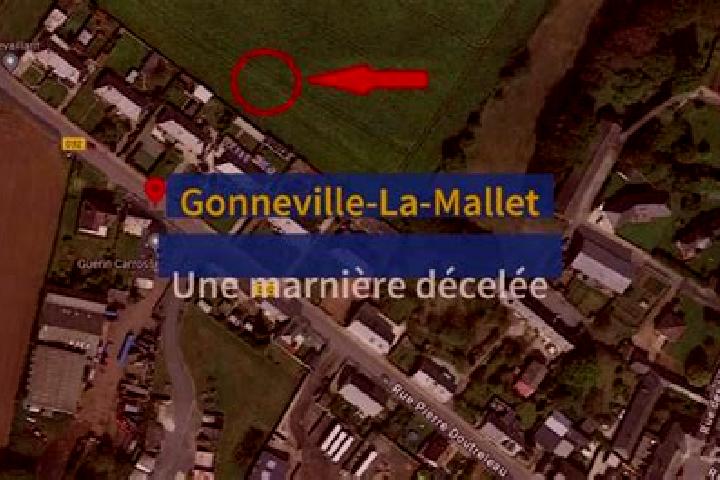 Kinsley, 32 — Escort in Gonneville-la-Mallet, France