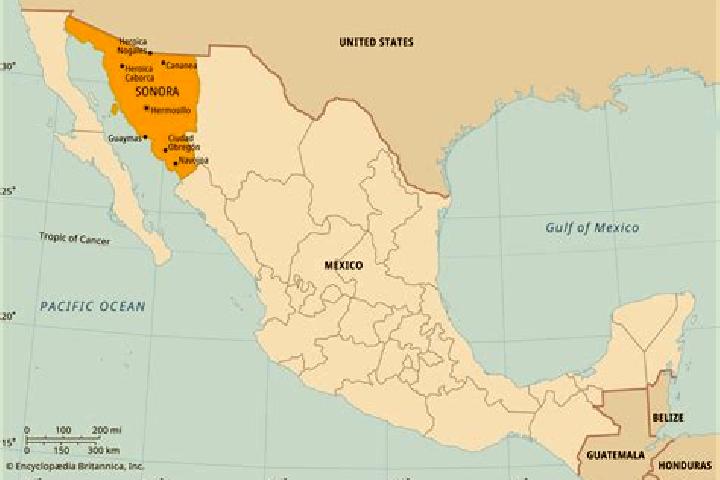 Kinsley, 32 — Escort in Las Norias (Norias), Mexico