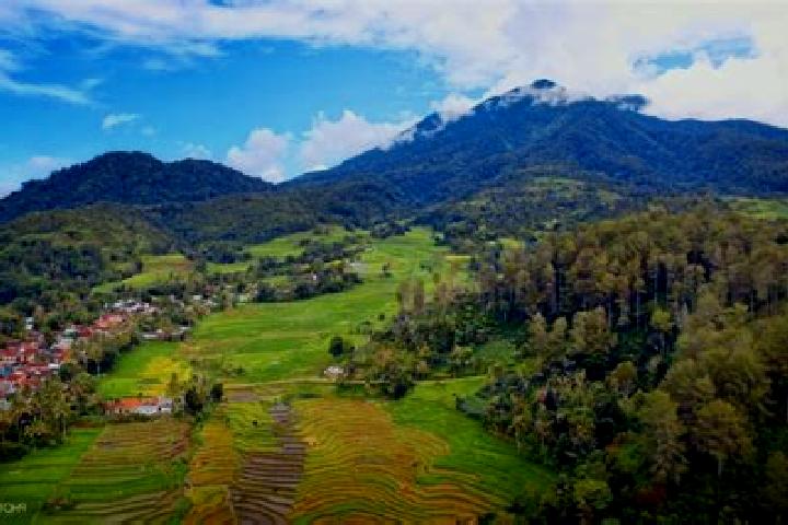 Kinsley, 32 — Escort in Oenopu, Indonesia