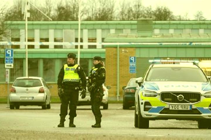 Kinsley, 32 — Escort in Ryssby, Sweden