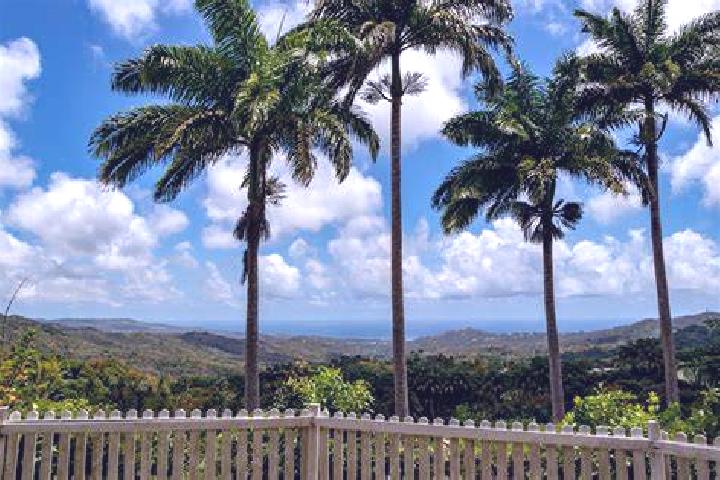 Kinsley, 32 — Escort in Welchman Hall, Barbados