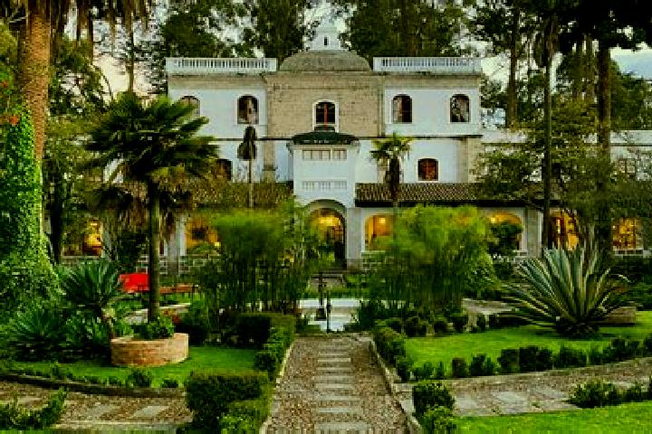 Kinsley, 33 — Escort in Colonia Ampliacion (San Miguel Tlahuac), Mexico