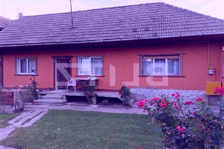 Kinsley, 33 — Escort in Cuciulata, Romania
